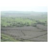 04 Fields from Golan Heights.jpg